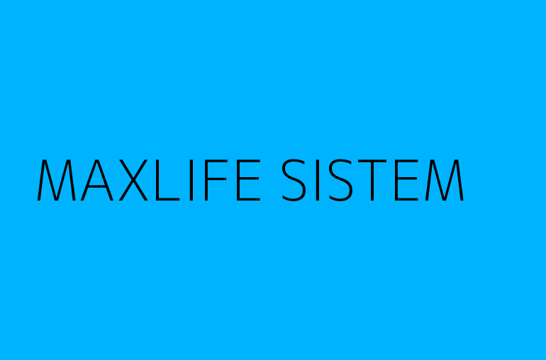MAXLIFE SISTEM & SERVICE